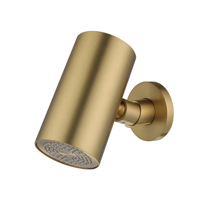 Wiesbaden Unimatch Beam hoofddouche rond 1 stand met muurbevestiging geborsteld messing PVD