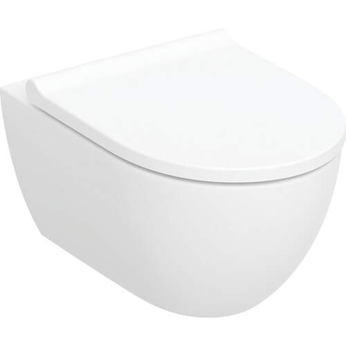 Wandcloset Geberit Acanto Turbo Flush randloos met softclose toiletzitting - foto #1