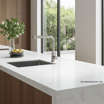 Keukenmengkraan Wiesbaden Reno Twenty met coldstart en uittrekbare handdouche in geborsteld RVS