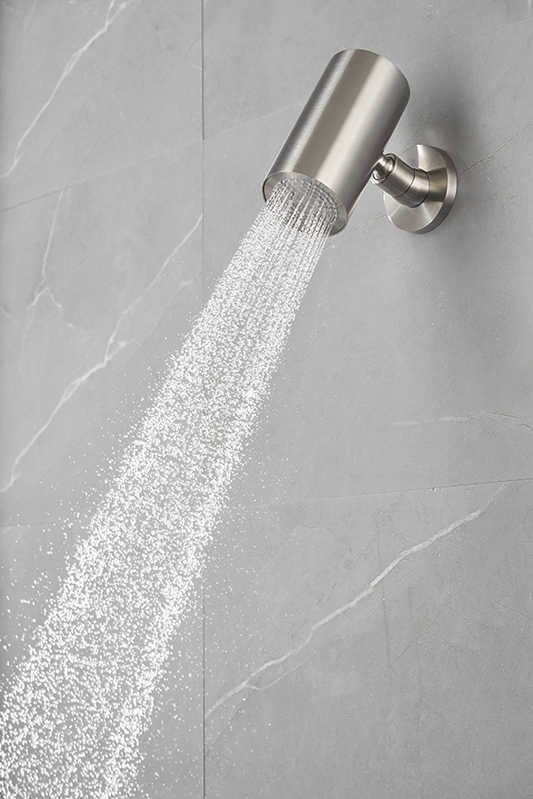 Wiesbaden Unimatch Beam hoofddouche rond 1 stand met muurbevestiging geborsteld staal PVD