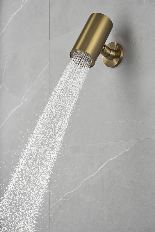 Wiesbaden Unimatch Beam hoofddouche rond 1 stand met muurbevestiging geborsteld messing PVD